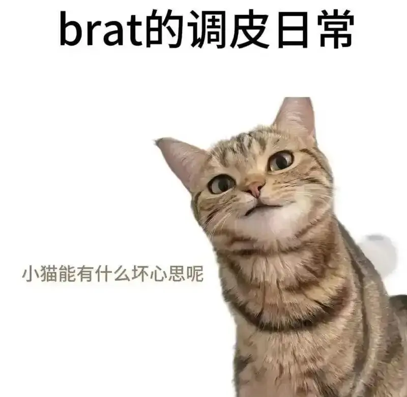 【西檬之家】新手必看：字母圈的管教实践指南