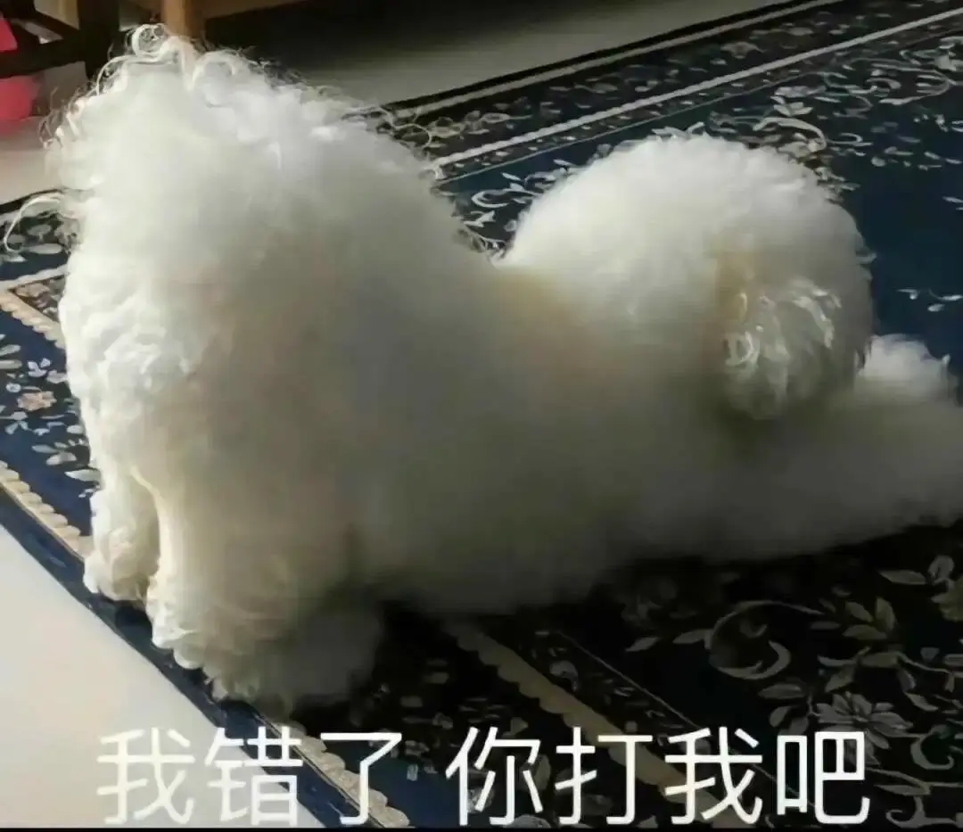 西檬之家-字母圈新人如何安全入圈？
