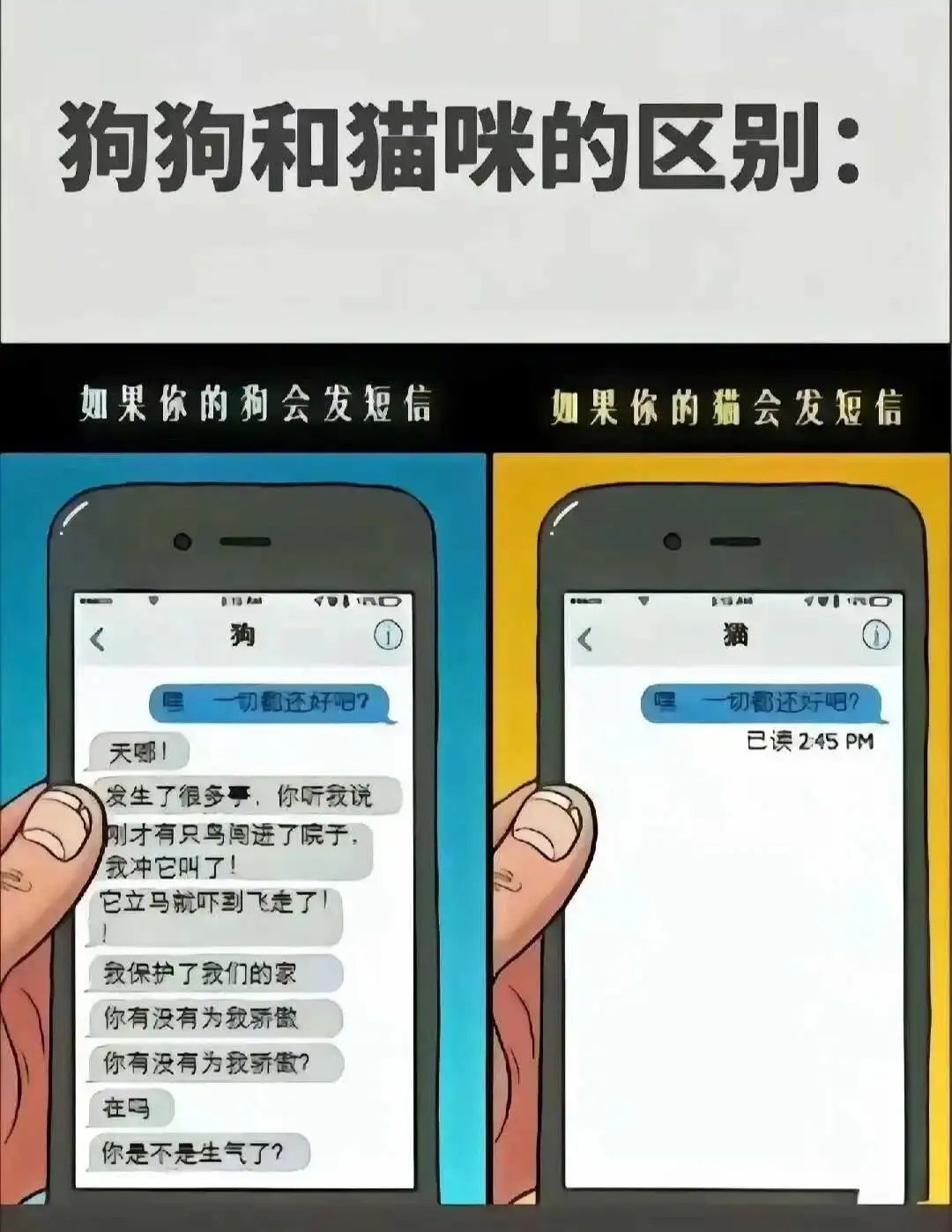 【西檬之家】字母圈的DS关系是什么？新人必读指南