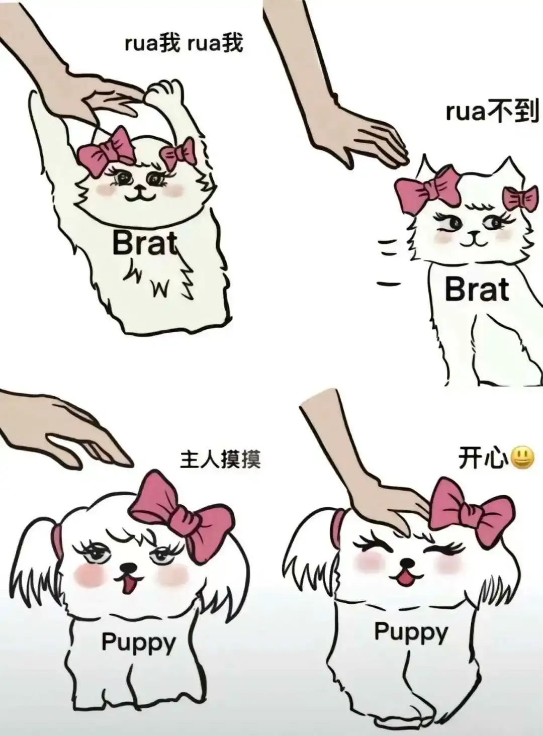 【西檬之家】字母圈的DT是什么意思？
