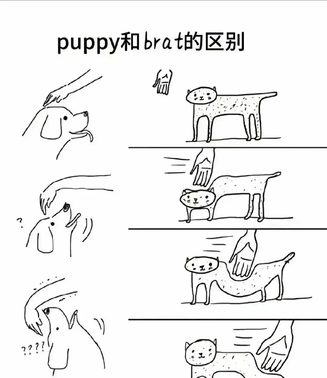 【西檬之家-字母圈新人入门指南】