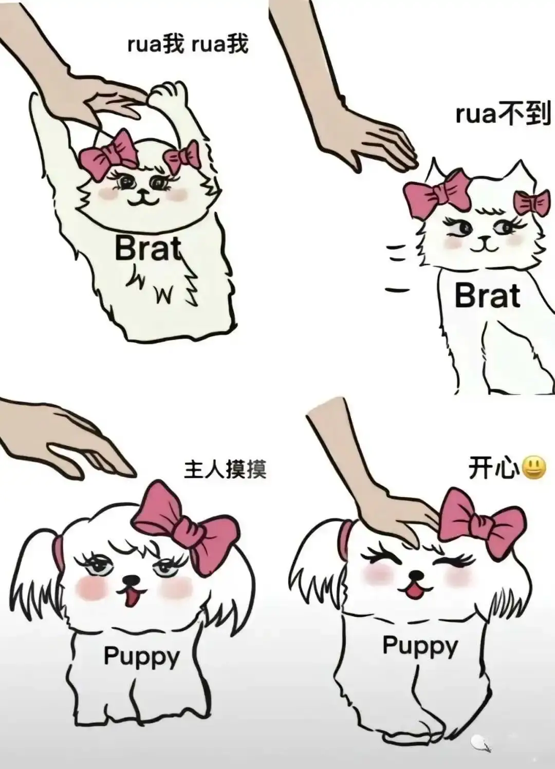 西檬之家-字母圈DT是什么？BDSM中的情境化沟通指南