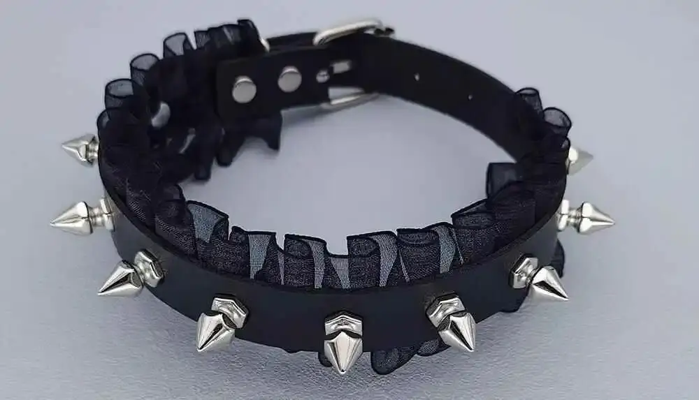 西檬之家-newbie入门指南：k9犬系全解析，BDSM新人必备知识
