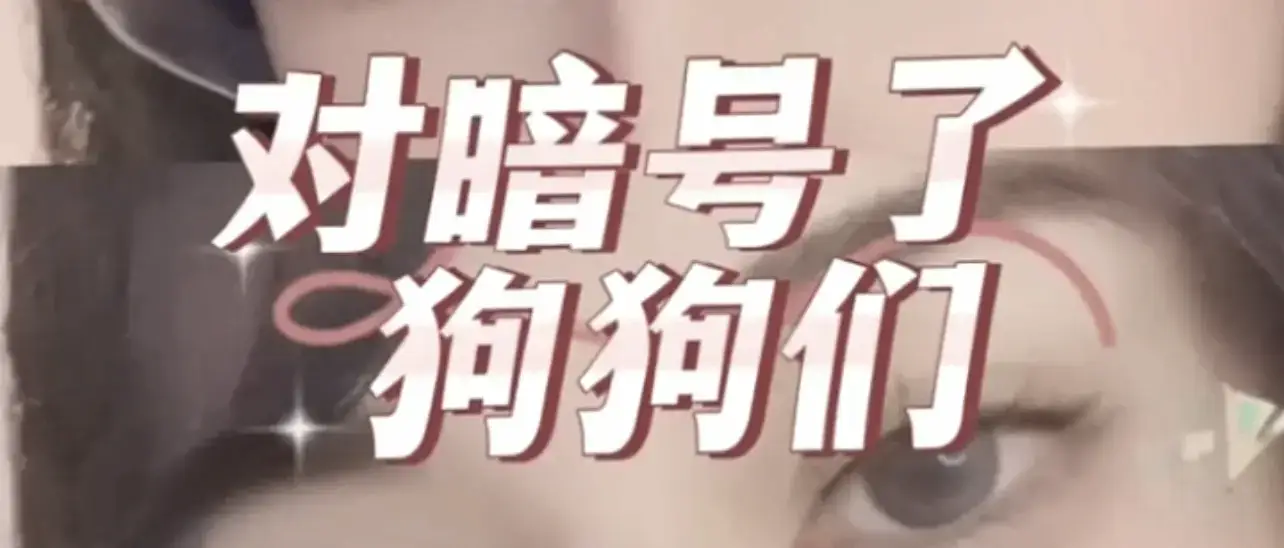 西檬之家-字母圈的K9是什么意思？BDSM新人指南