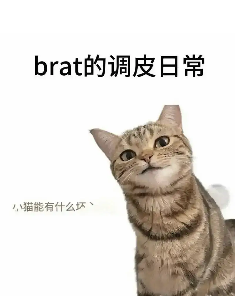西檬之家-字母圈中的Tickle玩法指南
